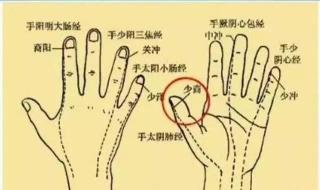 五个手指都分别叫什么名 食指是哪个手指